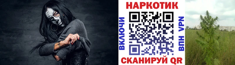 Где найти наркотики Буй ГАШ  СОЛЬ  Cocaine  МЕФ  Конопля 