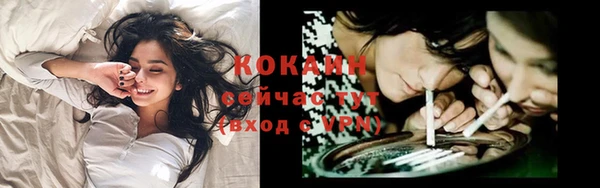 бошки Аркадак