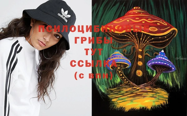 бошки Аркадак