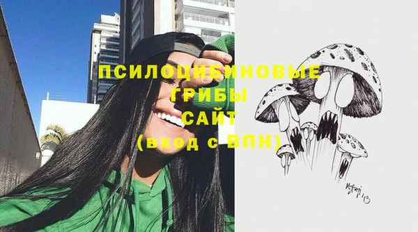 ешки Арсеньев